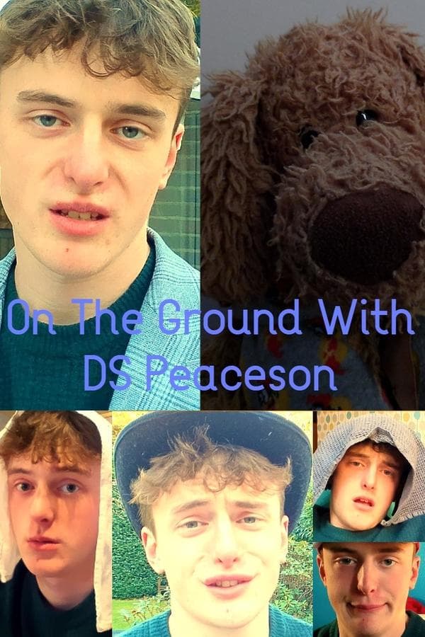 On The Ground With DS Peaceson poster