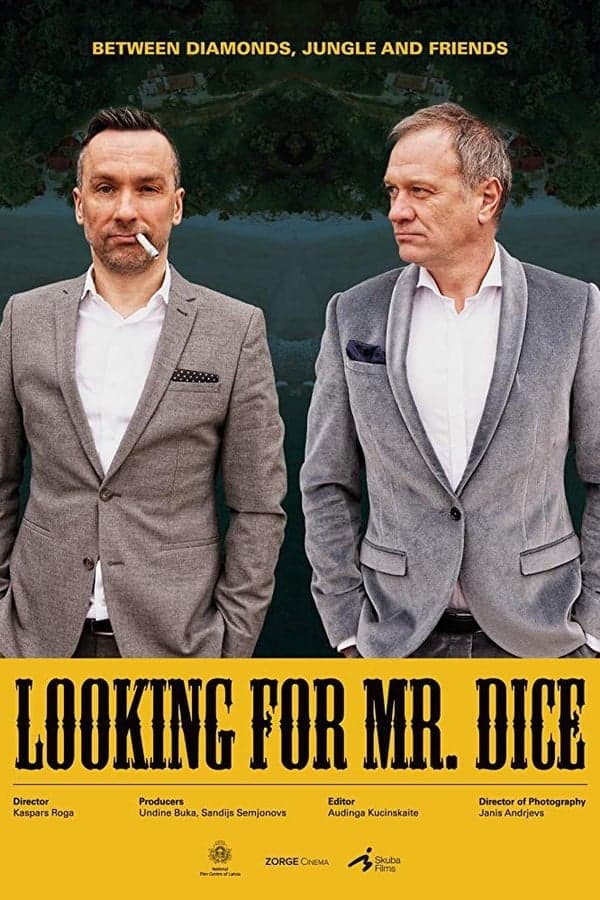 Looking for Mr. Dice poster