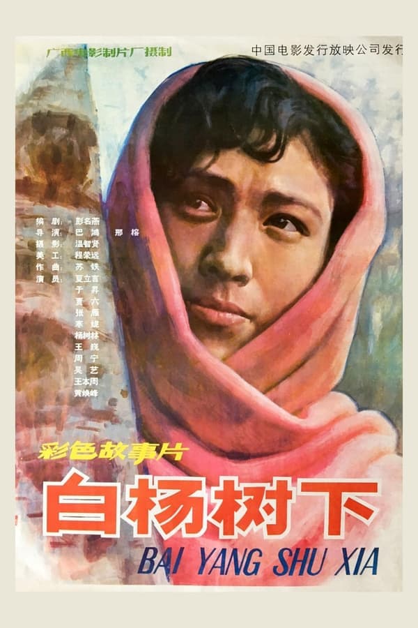 白杨树下 poster