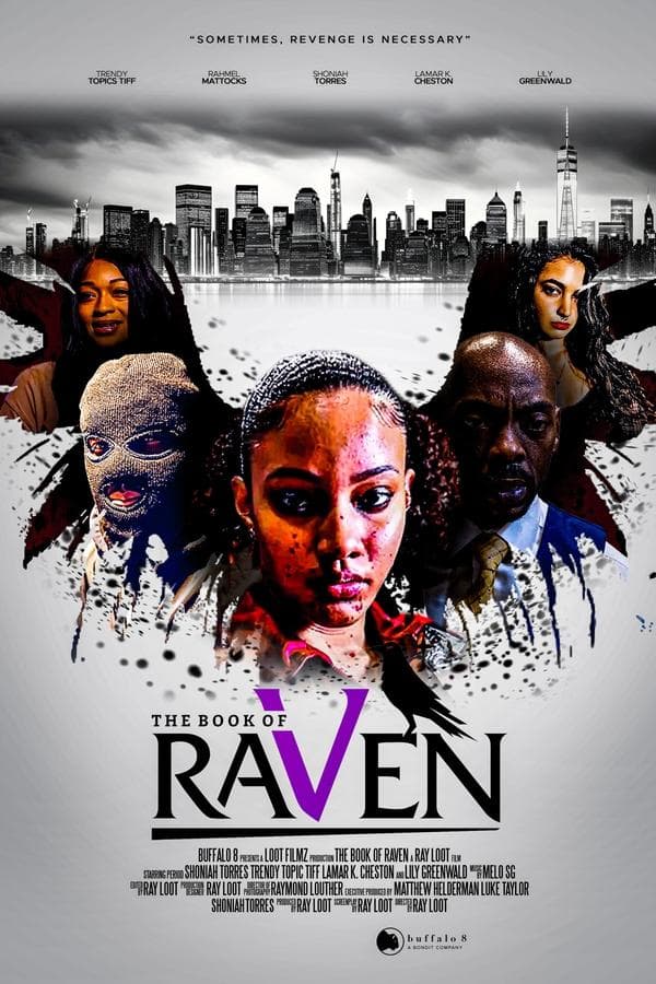 The Book Of Raven poster