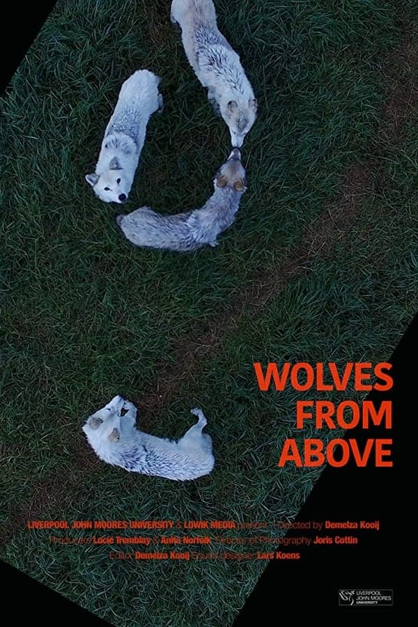 Wolves From Above poster