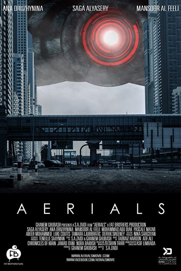 Aerials poster