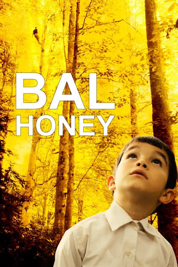 Honey poster