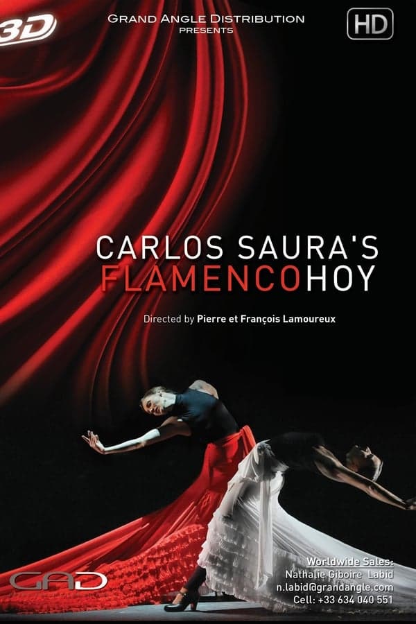 Carlos Saura's FlamencoHoy poster