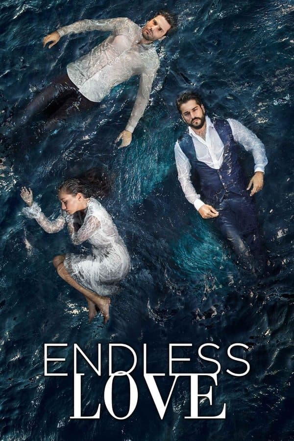 Endless Love poster