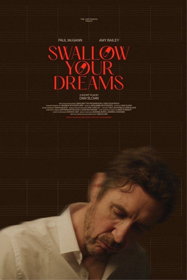 Swallow Your Dreams poster