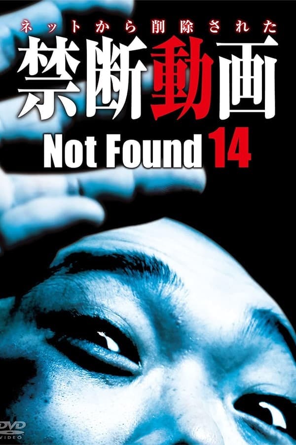 Not Found 14 poster