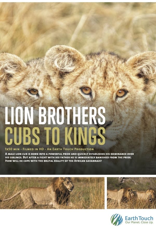 Lion Brothers: Cubs to Kings poster