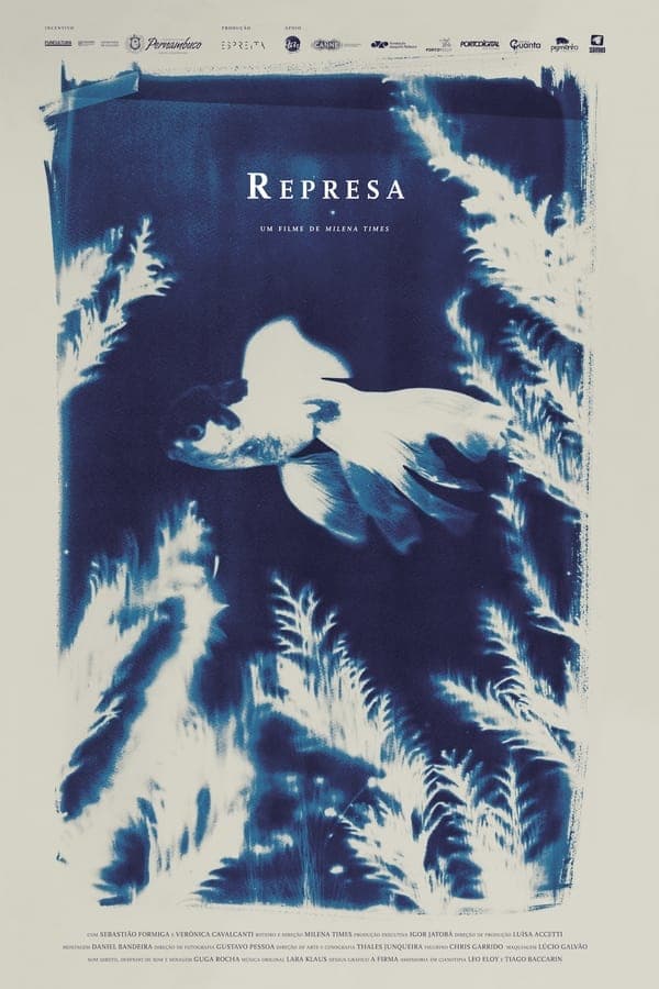 Represa poster