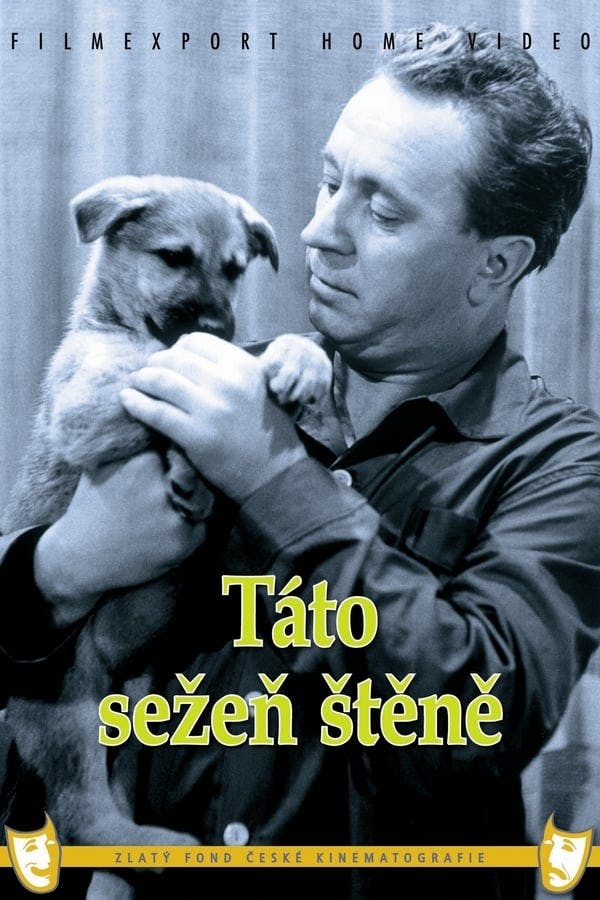 Táto sežeň štěně poster