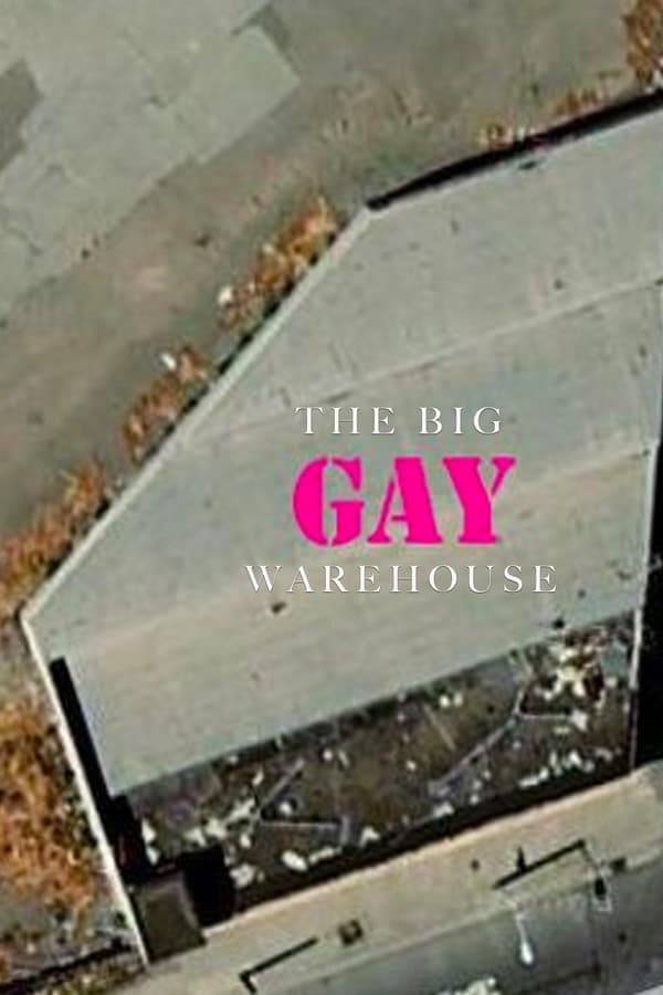 The Big Gay Doc poster