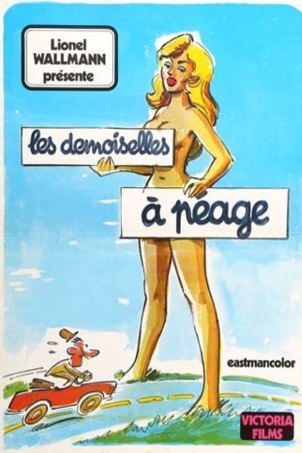 Les Demoiselles à péage poster