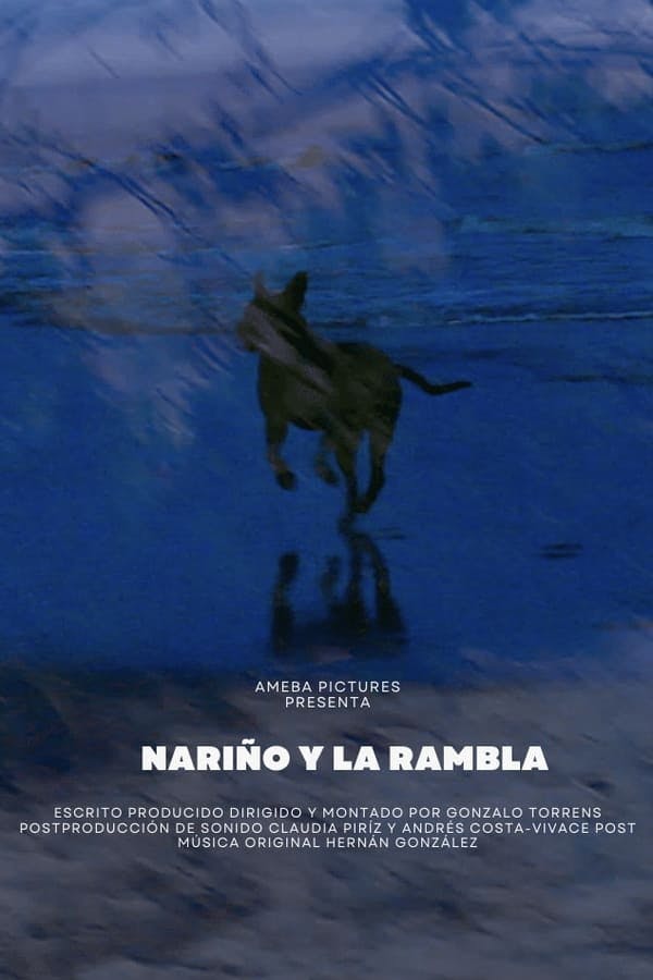 Nariño y la Rambla poster