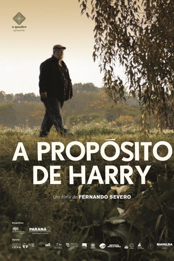 A Propósito de Harry poster