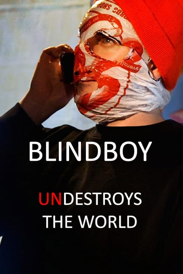 Blindboy Undestroys the World poster