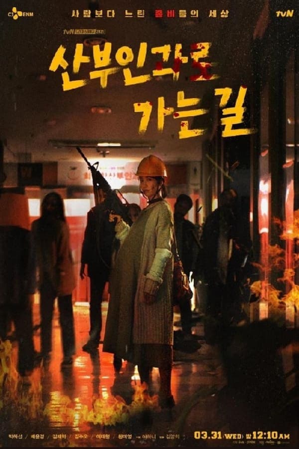 산부인과로 가는길 poster