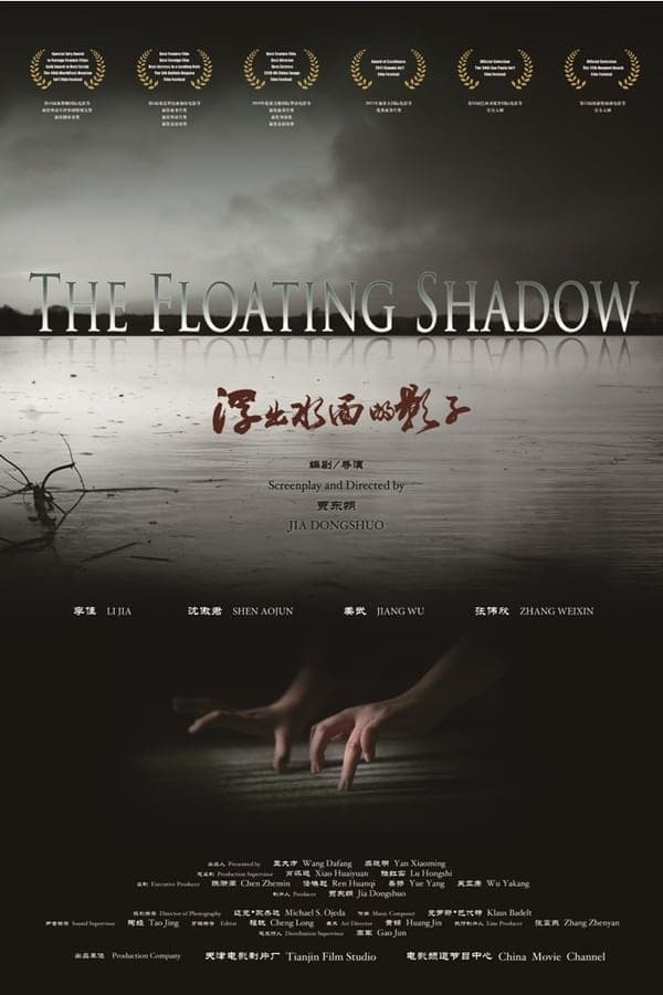 The Floating Shadow poster