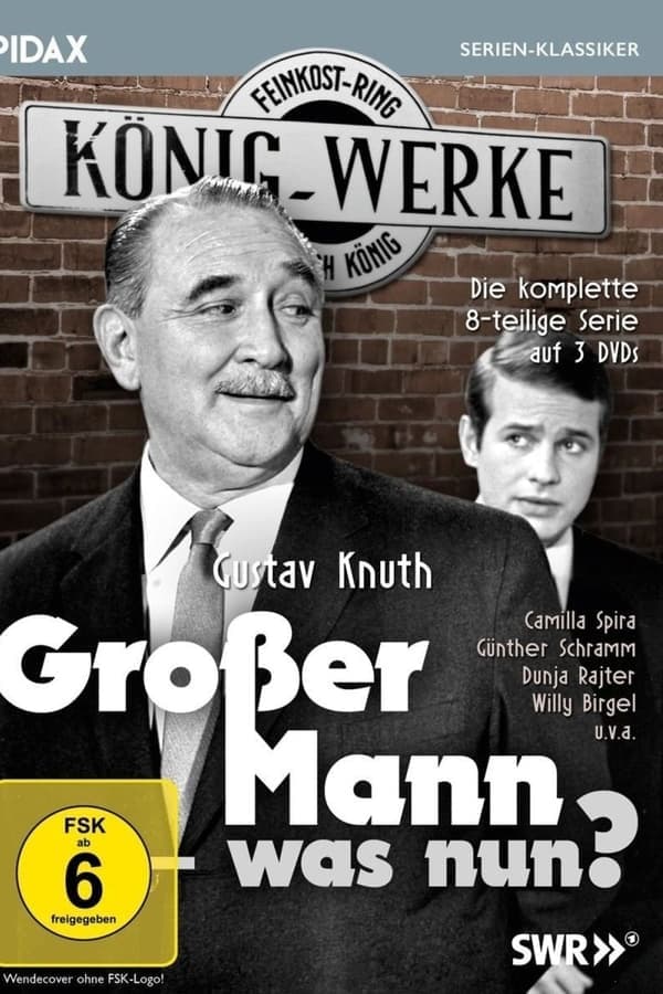 Großer Mann, was nun? poster