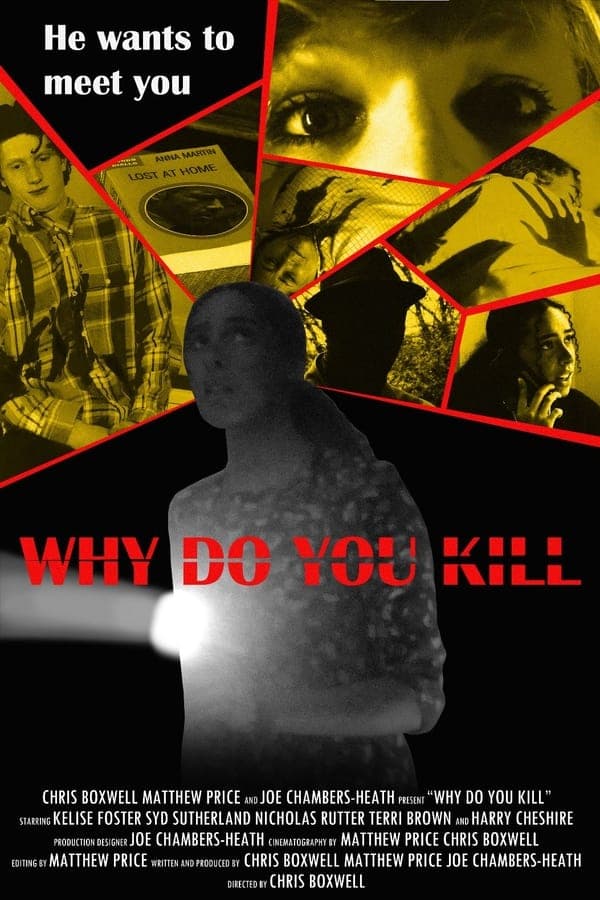 Why Do You Kill poster