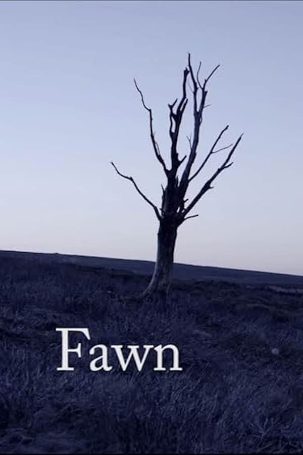 Fawn poster