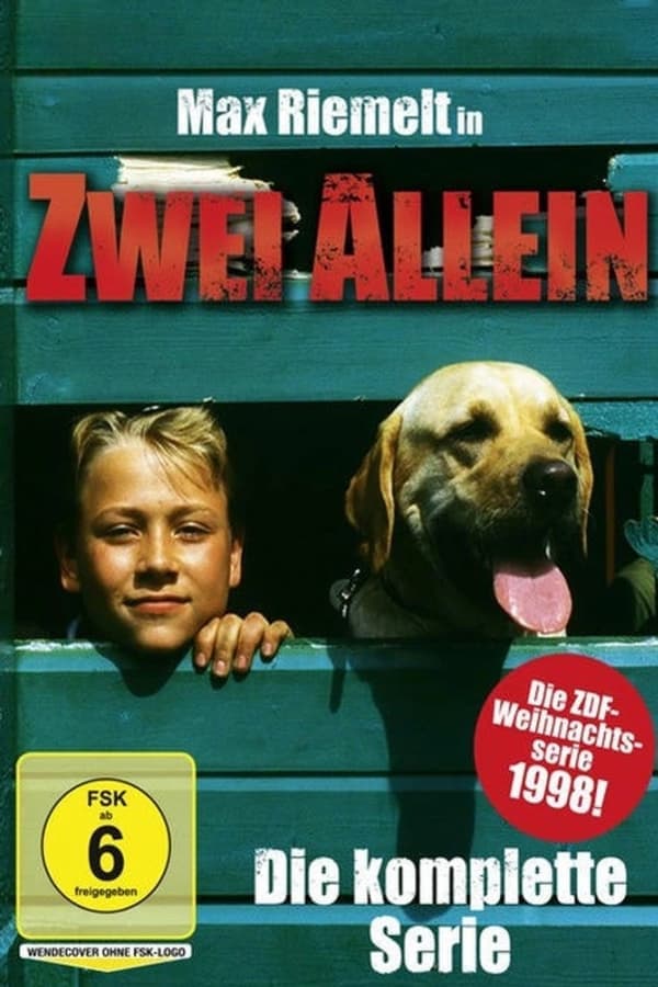 Zwei allein poster