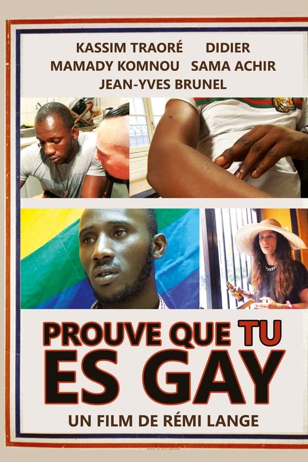 Prove That You Are Gay poster