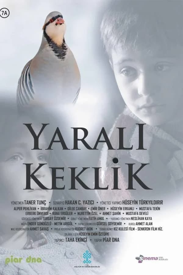 Yaralı Keklik poster