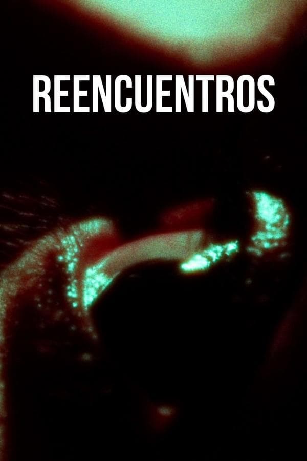 Reencuentros poster