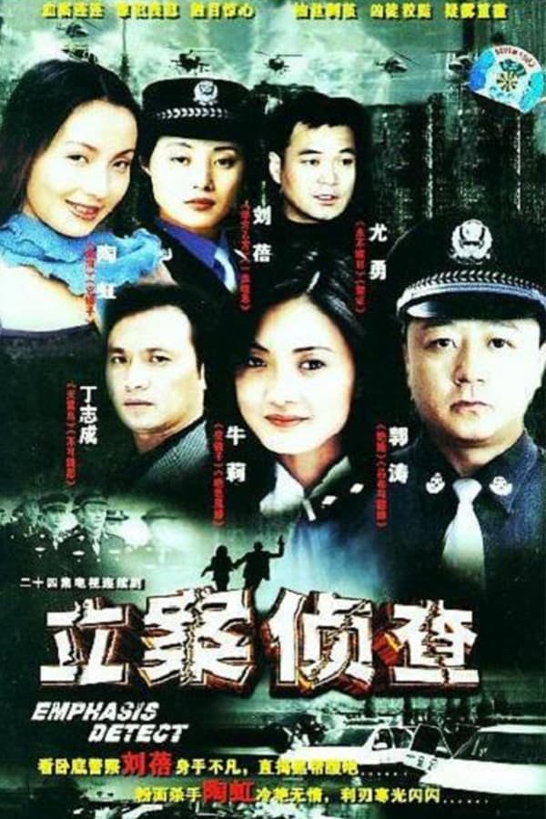 立案侦查 poster