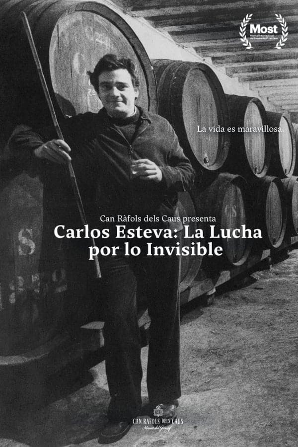 Carlos Esteva: La lucha por lo invisible poster