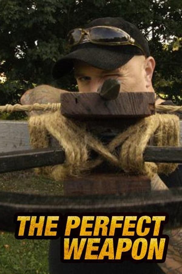 Perfect Weapon poster