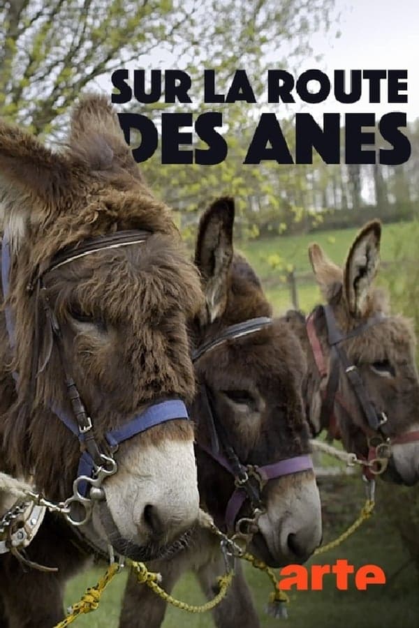 Sur la route des ânes poster