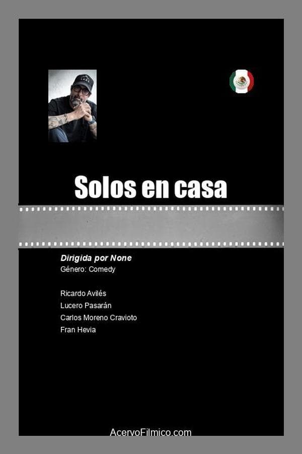 Solos en casa poster