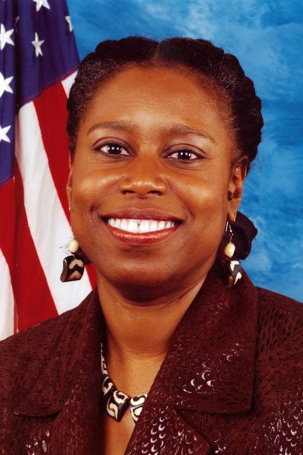 Cynthia McKinney poster