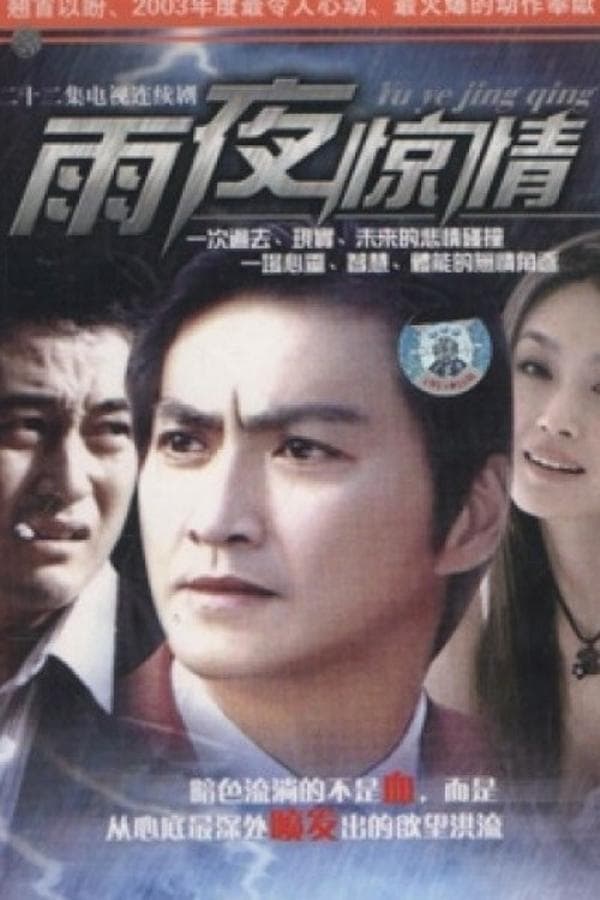 雨夜惊情 poster