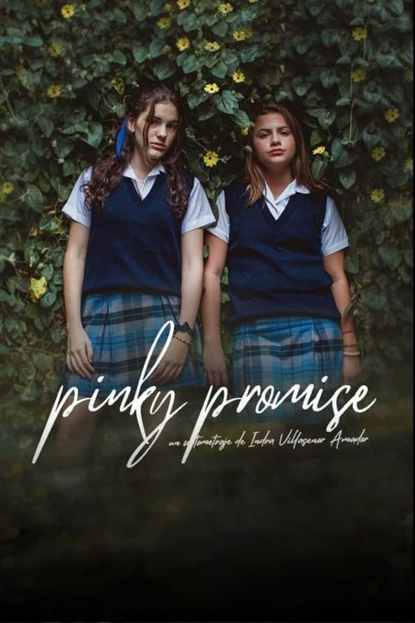 Pinky Promise poster