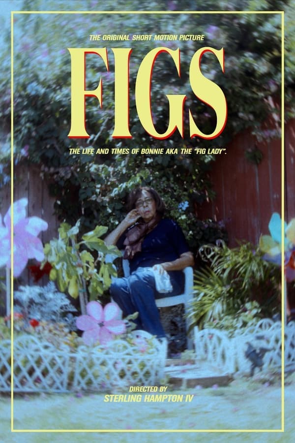 Figs poster