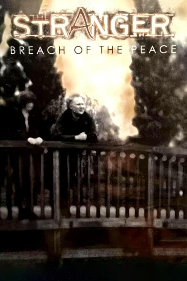 The Stranger: Breach of the Peace poster