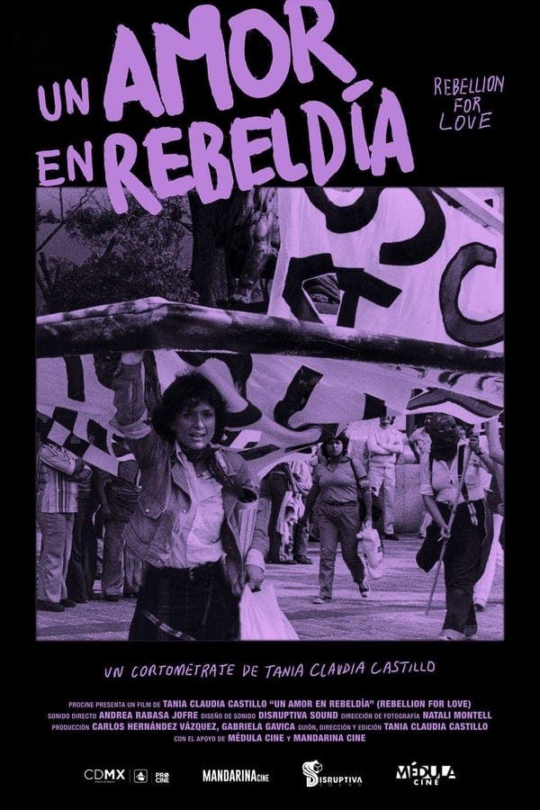 Rebellion for Love poster