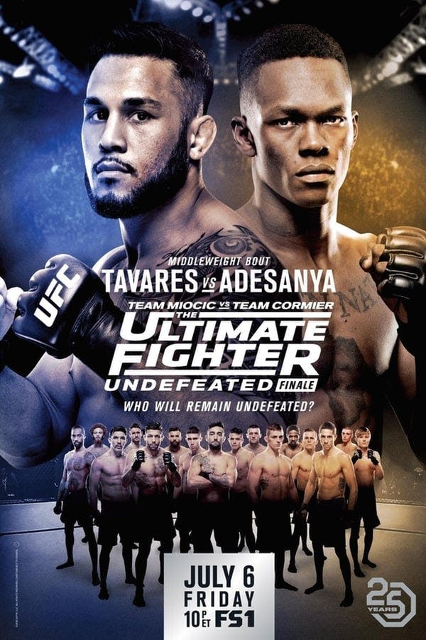 The Ultimate Fighter 27 Finale poster