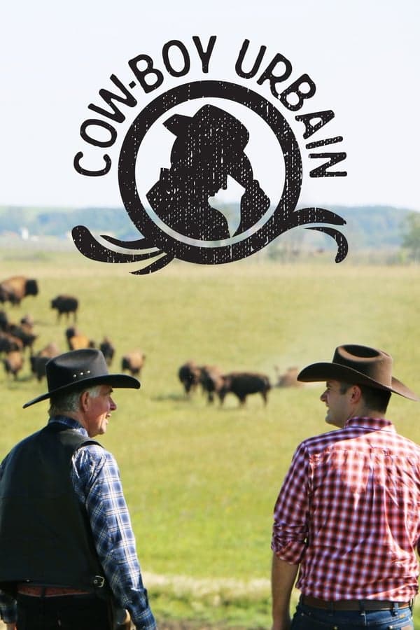 Cow-boy urbain poster