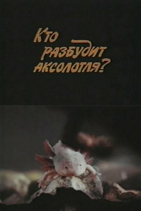 Who Will Wake Up the Axolotl? poster