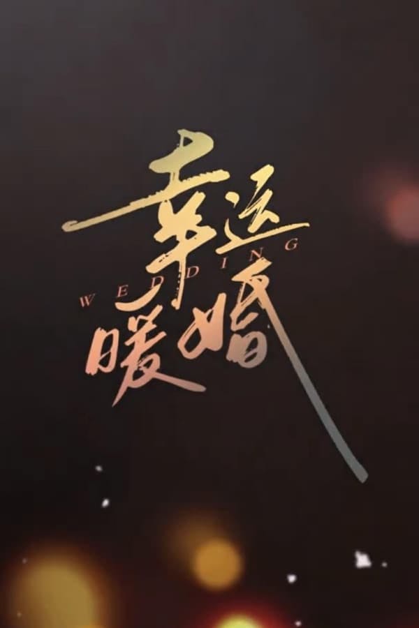 幸运暖婚 poster