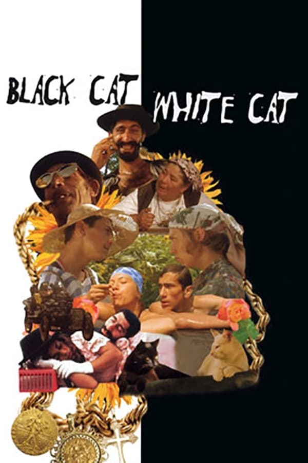 Black Cat, White Cat poster