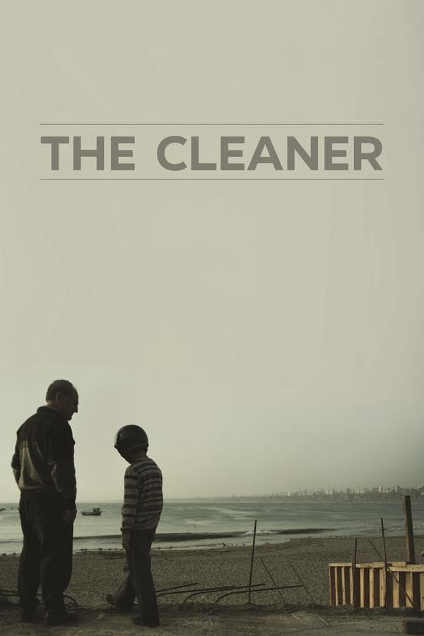 The Cleaner poster