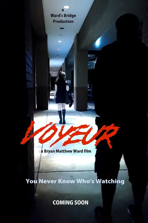 Voyeur poster