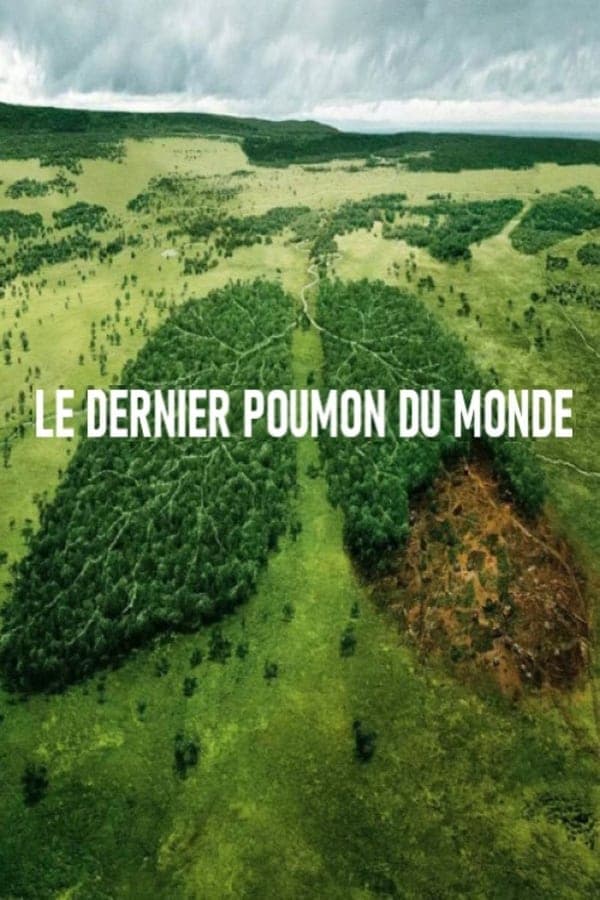 Le dernier poumon du monde poster