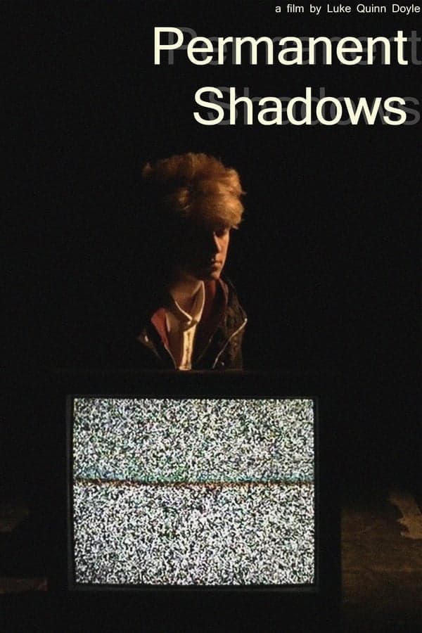 Permanent Shadows poster