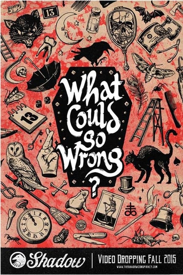 What Could Go Wrong? poster