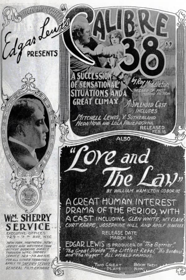 Love and the Law poster